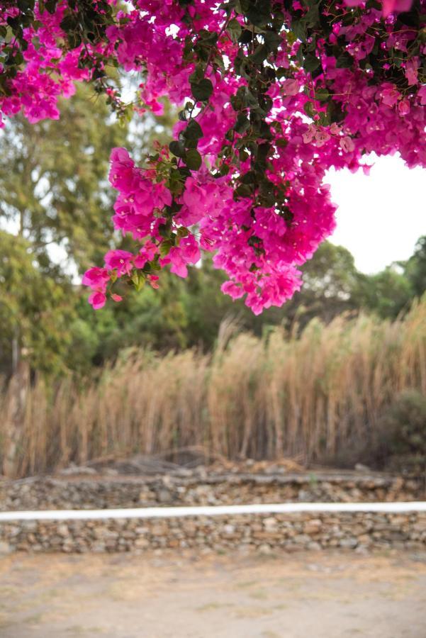 Island House Mare Mylopotas Exterior foto